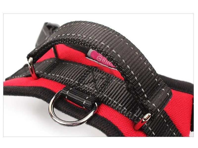 Dog Harness Set Pet Adjustable Chest Strap Walking Collar Vest – view 2