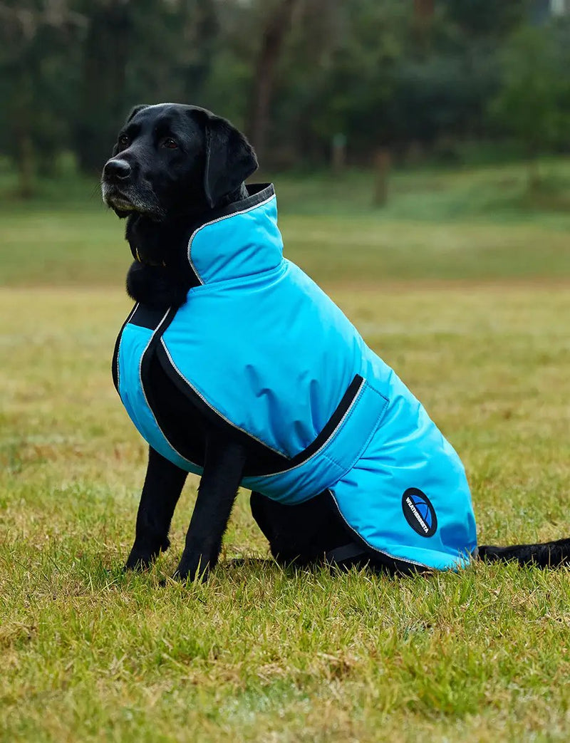 WeatherBeeta Outdoor coats WeatherBeeta ComFiTec Reflective 300D Deluxe Showerproof Dog Coat WeatherBeeta ComFiTec Reflective 300D Deluxe Showerproof Dog Coat