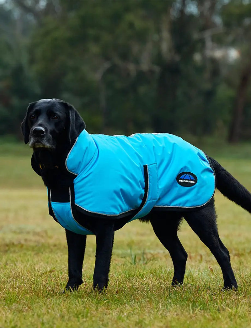 WeatherBeeta Outdoor coats WeatherBeeta ComFiTec Reflective 300D Deluxe Showerproof Dog Coat WeatherBeeta ComFiTec Reflective 300D Deluxe Showerproof Dog Coat