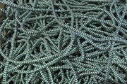 Action Fishing Nets Braided Lead Core Rope 5mm Braided lead core  rope x1 m 5mm Braided Lead Core Rope by Action Fishing Nets