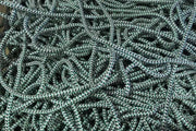 Action Fishing Nets Braided Lead Core Rope 7mm braided lead core rope x 1m Action Fishing Nets 7mm Braided Lead Core Rope 1m