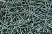 Action Fishing Nets Braided Lead Core Rope 7mm braided lead core rope x 1m Action Fishing Nets 7mm Braided Lead Core Rope 1m
