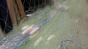 500m Commercial Mullet Fishing net sample – view 2
