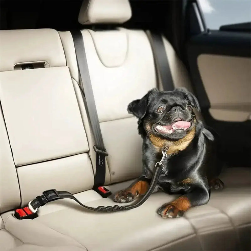 Adjustable Vehicle Harness for Dogs (available in different colors) – view 10