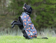 WeatherBeeta Clearance WeatherBeeta ComFiTec Premier Free Parka Dog Coat Medium WeatherBeeta ComFiTec Premier Free Parka Dog Coat Medium