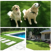 Habicare SS Artificial Indoor & Outdoor Synthetic Grass Mat (1–5m) Artificial Indoor & Outdoor Synthetic Grass Mat (1–5m)