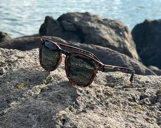 URBA VISTA ISLA/Tortoise Green ISLA/Tortoise Green