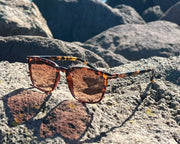 URBA VISTA ELLIOT/Tortoise Orange ELLIOT/Tortoise Orange