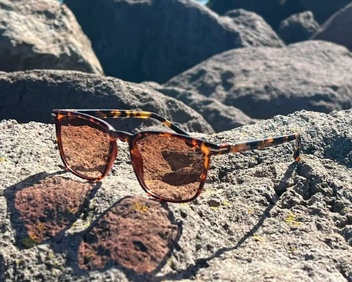 URBA VISTA ELLIOT/Tortoise Orange ELLIOT/Tortoise Orange