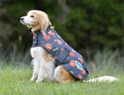 WeatherBeeta Clearance WeatherBeeta ComFiTec Premier Free Parka Dog Coat Medium WeatherBeeta ComFiTec Premier Free Parka Dog Coat Medium