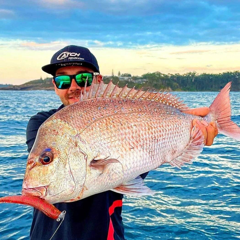 Catch Catch Black Label Livies Catch Black Label Livies pk 4x7" Engine Oil Catch Black Label Livies 4x7 Engine Oil Lure