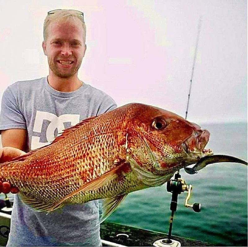 Catch Catch Black Label Livies Catch Blk Label Livies pk 5x5" Bronze Baitfish Catch Blk Label Livies 5x5 Bronze Baitfish
