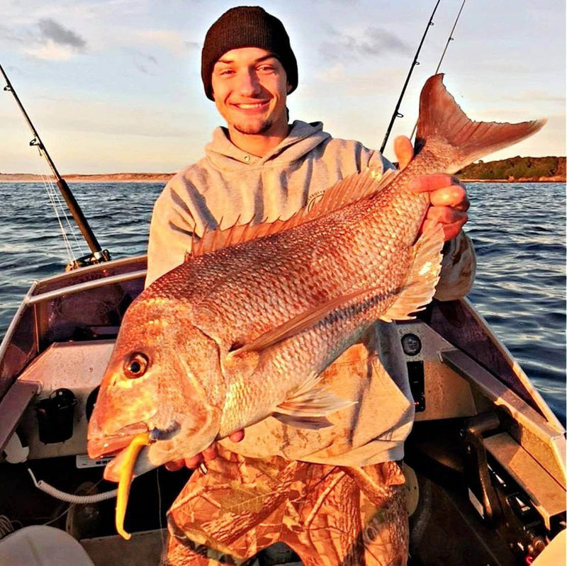 Catch Catch Black Label Livies Catch Blk Label Livies pk 5x5" Bronze Baitfish Catch Blk Label Livies 5x5 Bronze Baitfish