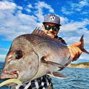 Catch Catch Black Label Livies Catch Blk Label Livies pk 5x5" Bronze Baitfish Catch Blk Label Livies 5x5 Bronze Baitfish