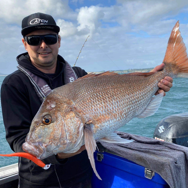 Catch Catch Black Label Livies Catch Blk Label Livies pk 5x5" Bronze Baitfish Catch Blk Label Livies 5x5 Bronze Baitfish