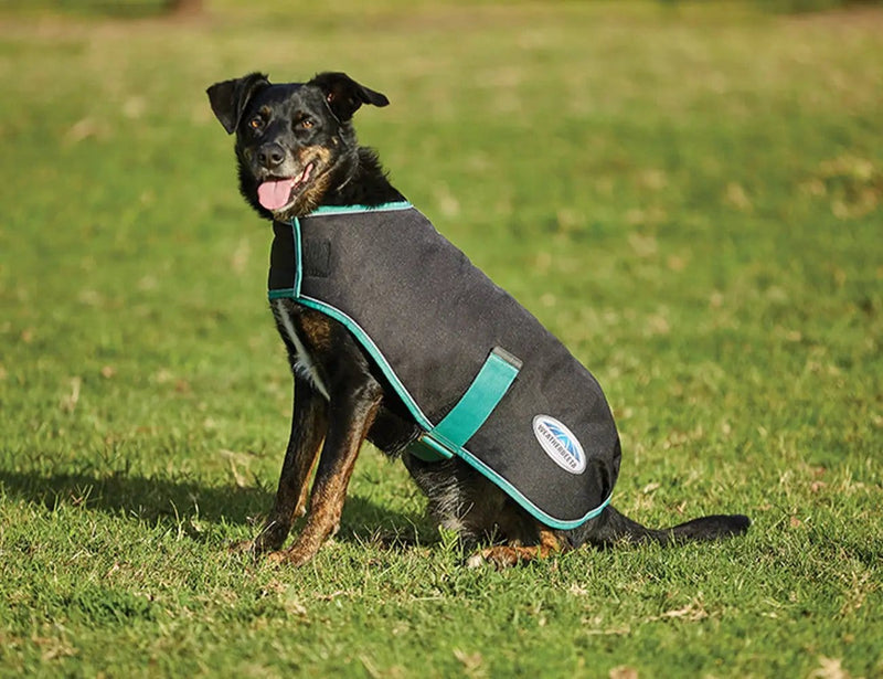 WeatherBeeta Clearance WeatherBeeta Green-Tec 900D Dog Coat Medium WeatherBeeta Green-Tec 900D Dog Coat Medium