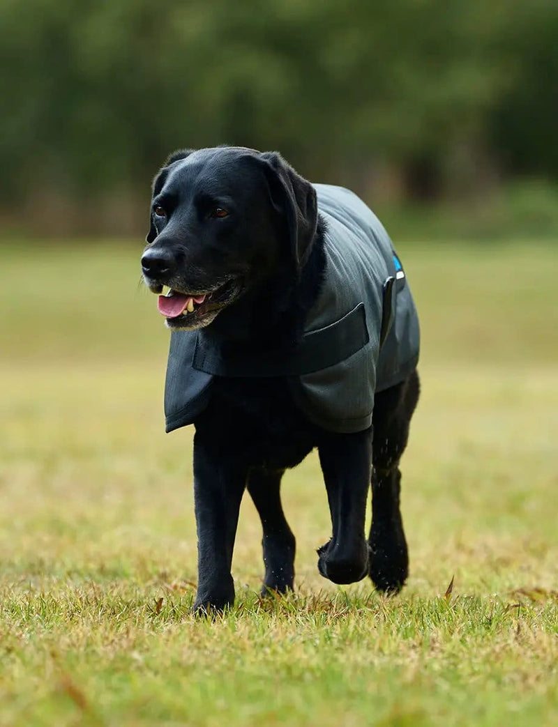 WeatherBeeta Outdoor coats WeatherBeeta ComFiTec Classic Waterproof Dog Coat WeatherBeeta ComFiTec Classic Waterproof Dog Coat
