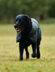 WeatherBeeta Outdoor coats WeatherBeeta ComFiTec Classic Waterproof Dog Coat WeatherBeeta ComFiTec Classic Waterproof Dog Coat