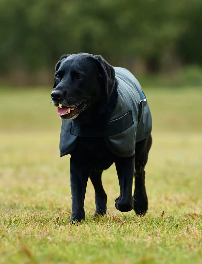 WeatherBeeta Outdoor coats WeatherBeeta ComFiTec Classic Waterproof Dog Coat WeatherBeeta ComFiTec Classic Waterproof Dog Coat