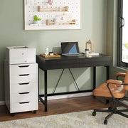 Habicare SS Computer Desk with Drawers (3 colours available) Computer Desk with Drawers (3 colours available)