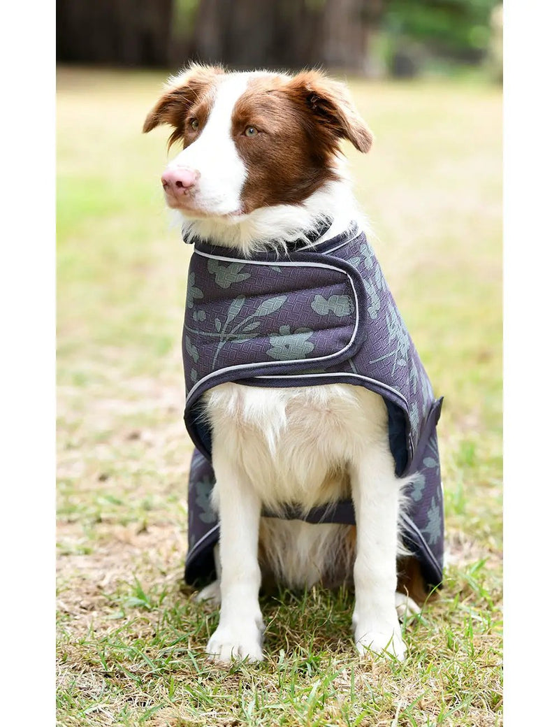 WeatherBeeta Clearance WeatherBeeta ComFiTec Premier Free Parka Dog Coat Medium WeatherBeeta ComFiTec Premier Free Parka Dog Coat Medium