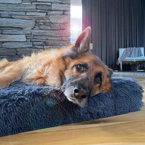 The Brooklyn Dog Beds Brooklyn® Ultra Memory Foam Bed Brooklyn Ultra Comfort Memory Foam Dog Bed