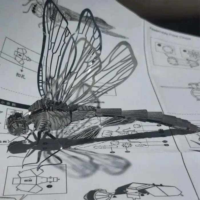 9eight5 Tools & Models Dragonfly Dragonfly