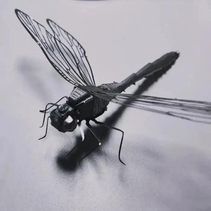 9eight5 Tools & Models Dragonfly Dragonfly
