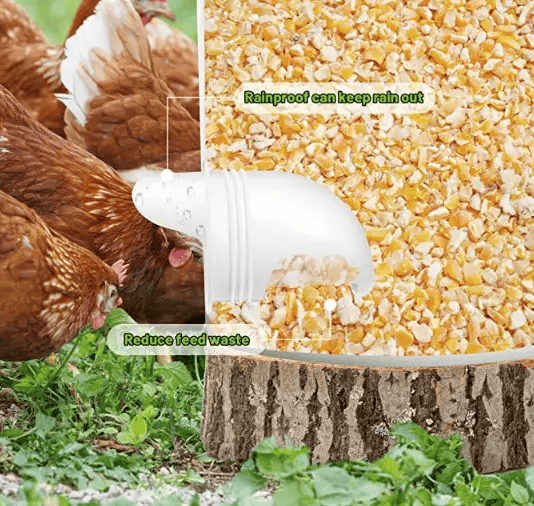 salelink.co.nz Unbranded Poultry Pro Feeder Chicken Feeder Poultry Pro Feeder Chicken Feeder | Action Outdoors NZ