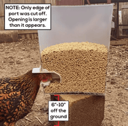 salelink.co.nz Unbranded Poultry Pro Feeder Chicken Feeder Poultry Pro Feeder Chicken Feeder | Action Outdoors NZ