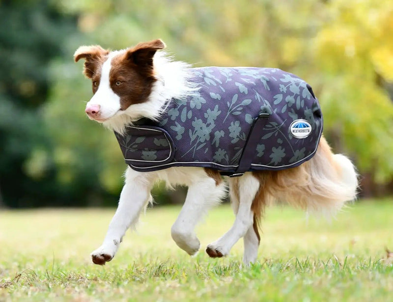 WeatherBeeta Clearance WeatherBeeta ComFiTec Premier Free Parka Dog Coat Medium WeatherBeeta ComFiTec Premier Free Parka Dog Coat Medium
