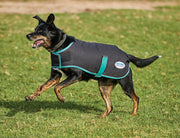 WeatherBeeta Clearance WeatherBeeta Green-Tec 900D Dog Coat Medium WeatherBeeta Green-Tec 900D Dog Coat Medium