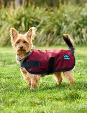 WeatherBeeta Outdoor coats WeatherBeeta ComFiTec Classic Waterproof Dog Coat WeatherBeeta ComFiTec Classic Waterproof Dog Coat