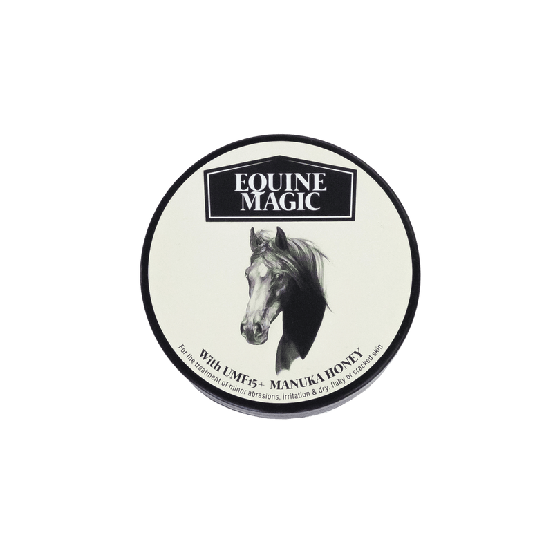 Equine Magic by The Honey Collection