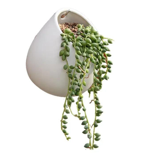 salelink.co.nz Unbranded White Plant Pot Ceramic Planter White Plant Pot Ceramic Planter | Action Outdoors NZ