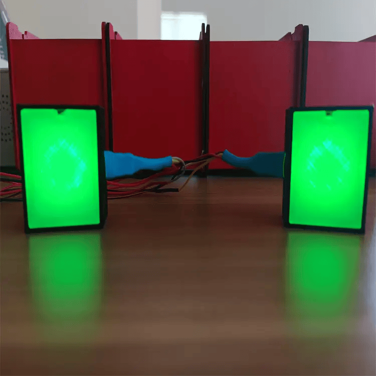 RaceCrafts RaceCraftsNZ LED Flags Module, 8LEDS, Programmable, 2 Sides RaceCraftsNZ LED Flags Module, 8LEDS, Programmable, 2 Sides