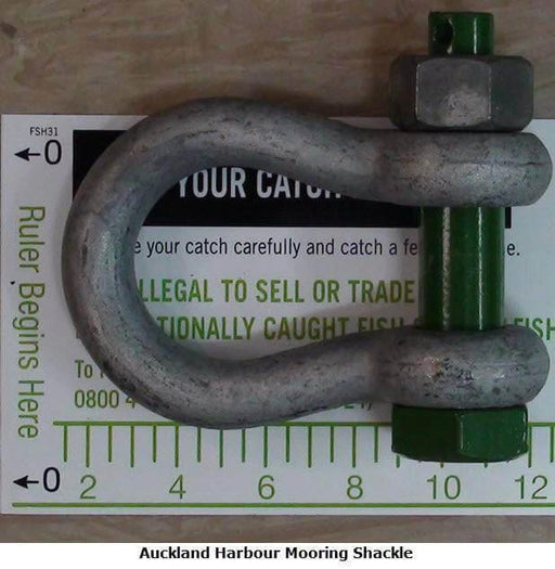 HES NZ LTD 19mm Hi Load Safety Bow Shackle With Green Pin For Heavy Duty Rigging And Towing
