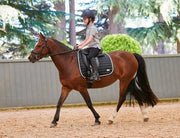 WeatherBeeta Dressage saddle pads WeatherBeeta Prime Competitor Dressage Saddle Pad WeatherBeeta Prime Competitor Dressage Saddle Pad