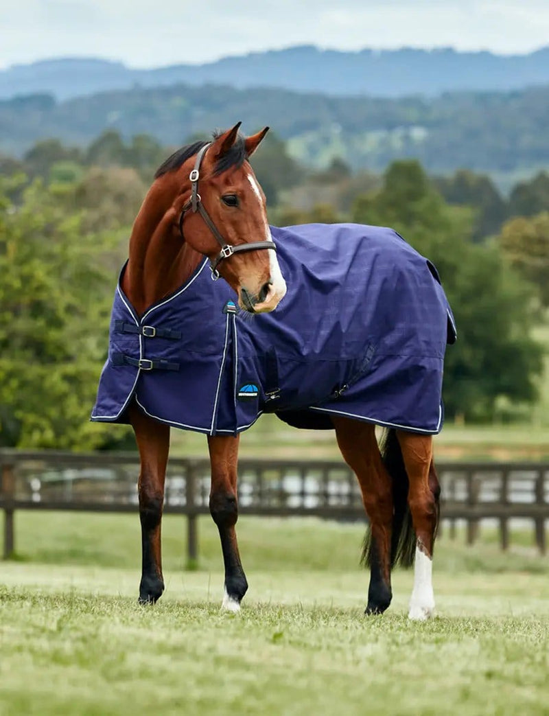 WeatherBeeta Rugs medium lite WeatherBeeta ComFiTec Prelim Turnout 100G WeatherBeeta ComFiTec Prelim Turnout 100G