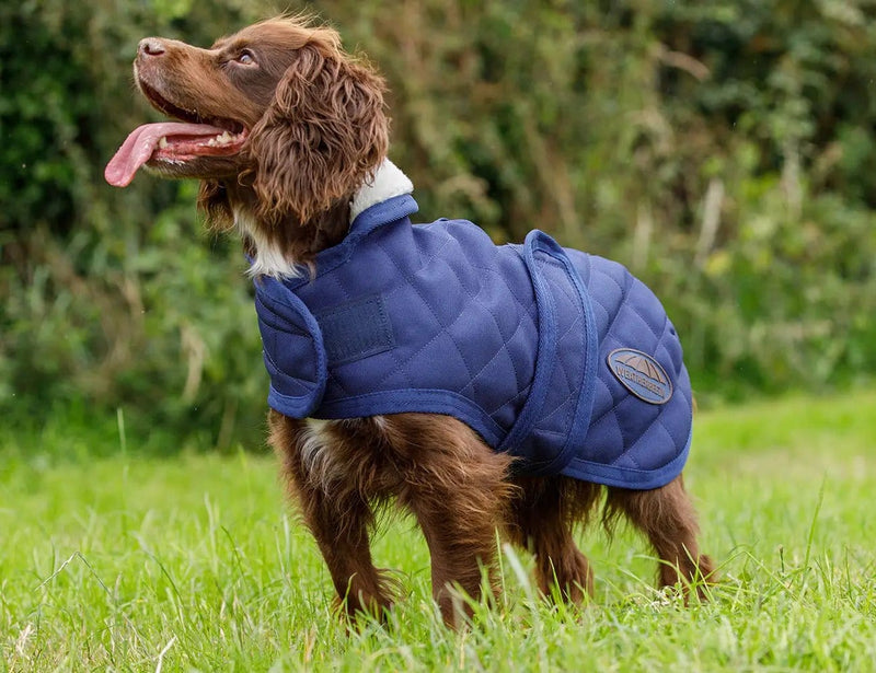 WeatherBeeta Clearance WeatherBeeta ComFiTec Deluxe Diamond Quilt Dog Coat WeatherBeeta ComFiTec Deluxe Diamond Quilt Dog Coat