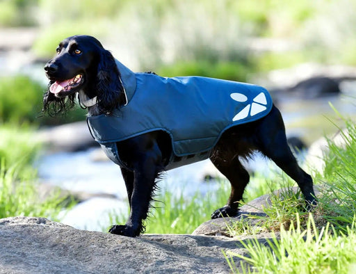 WeatherBeeta Clearance WeatherBeeta Explorer Lite Dog Coat WeatherBeeta Explorer Lite Dog Coat