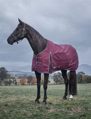 WeatherBeeta Rugs medium WeatherBeeta ComFiTec Essential Turnout 220G WeatherBeeta ComFiTec Essential Turnout 220G