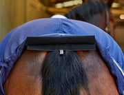 WeatherBeeta Show Sheet Standard Neck by WeatherBeeta