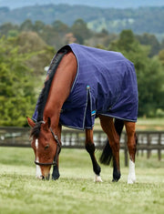 WeatherBeeta Rugs medium lite WeatherBeeta ComFiTec Prelim Turnout 100G WeatherBeeta ComFiTec Prelim Turnout 100G