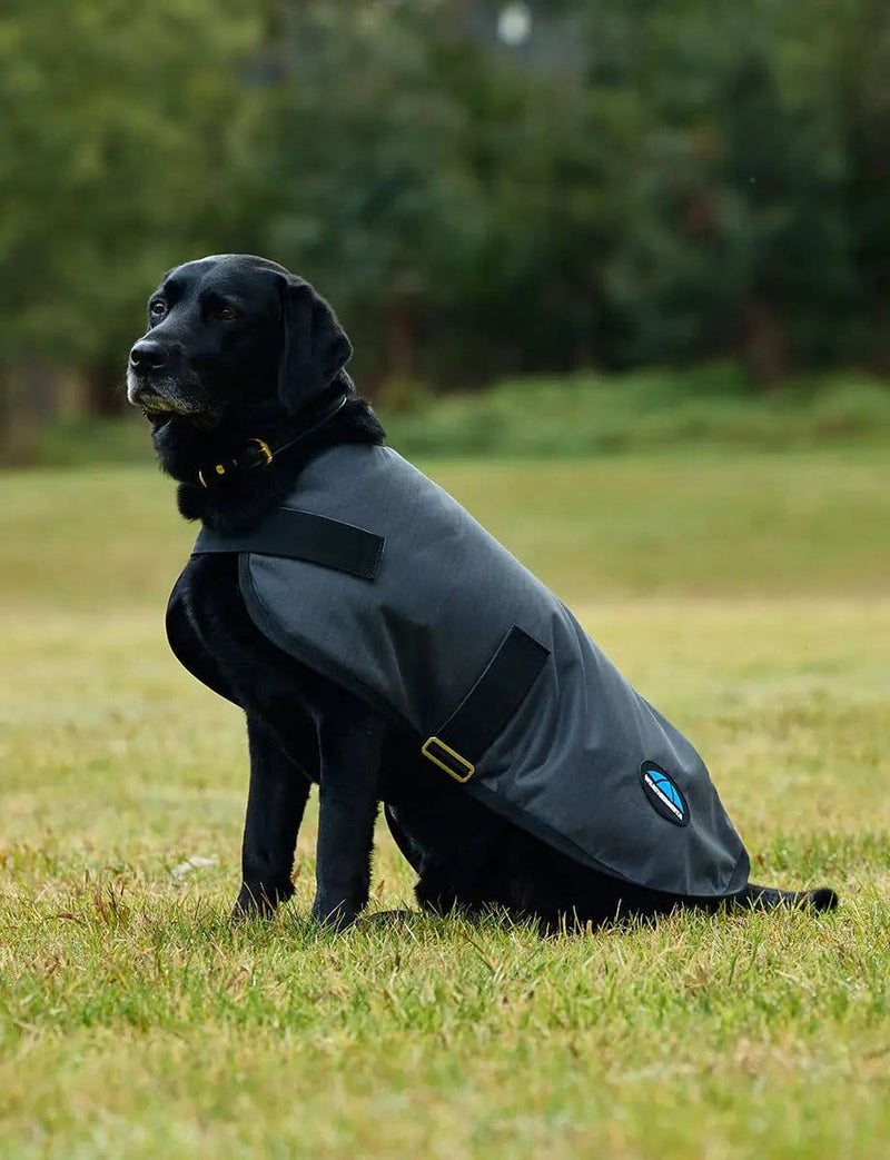 WeatherBeeta Outdoor coats WeatherBeeta ComFiTec Classic Waterproof Dog Coat WeatherBeeta ComFiTec Classic Waterproof Dog Coat