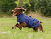 WeatherBeeta Clearance WeatherBeeta ComFiTec Deluxe Diamond Quilt Dog Coat WeatherBeeta ComFiTec Deluxe Diamond Quilt Dog Coat