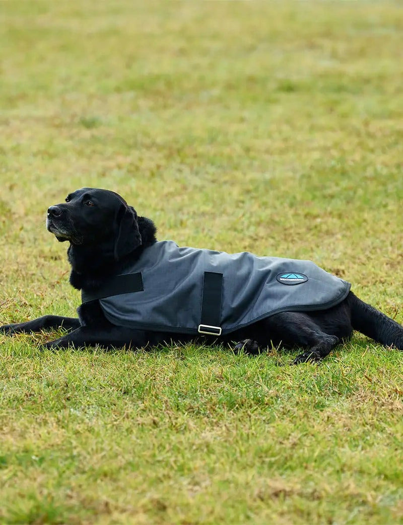 WeatherBeeta Outdoor coats WeatherBeeta ComFiTec Classic Waterproof Dog Coat WeatherBeeta ComFiTec Classic Waterproof Dog Coat