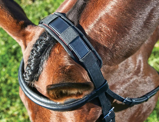 WeatherBeeta Clearance WeatherBeeta Therapy-Tec Poll Pad WeatherBeeta Therapy-Tec Poll Pad