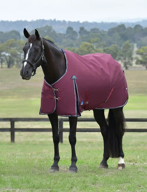 WeatherBeeta Rugs medium WeatherBeeta ComFiTec Essential Turnout 220G WeatherBeeta ComFiTec Essential Turnout 220G
