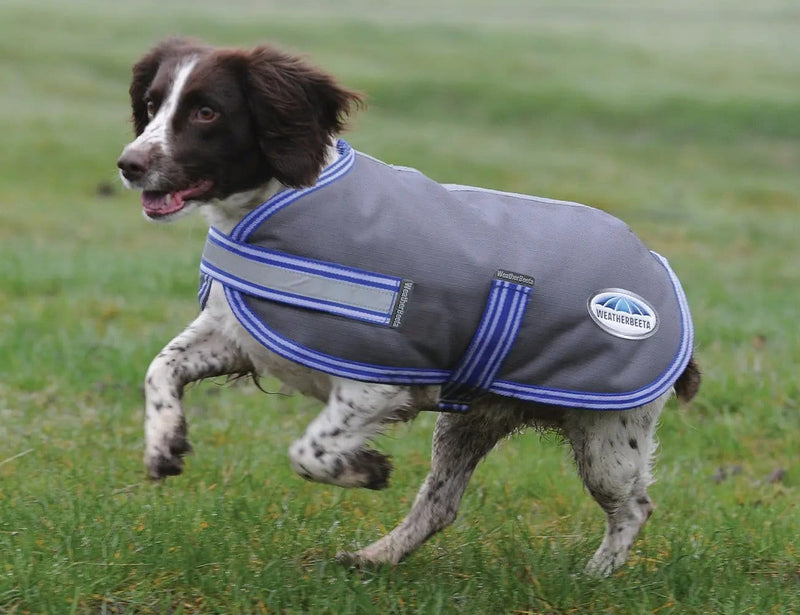 WeatherBeeta Clearance WeatherBeeta Thermi-Heat Dog Coat WeatherBeeta Thermi-Heat Dog Coat